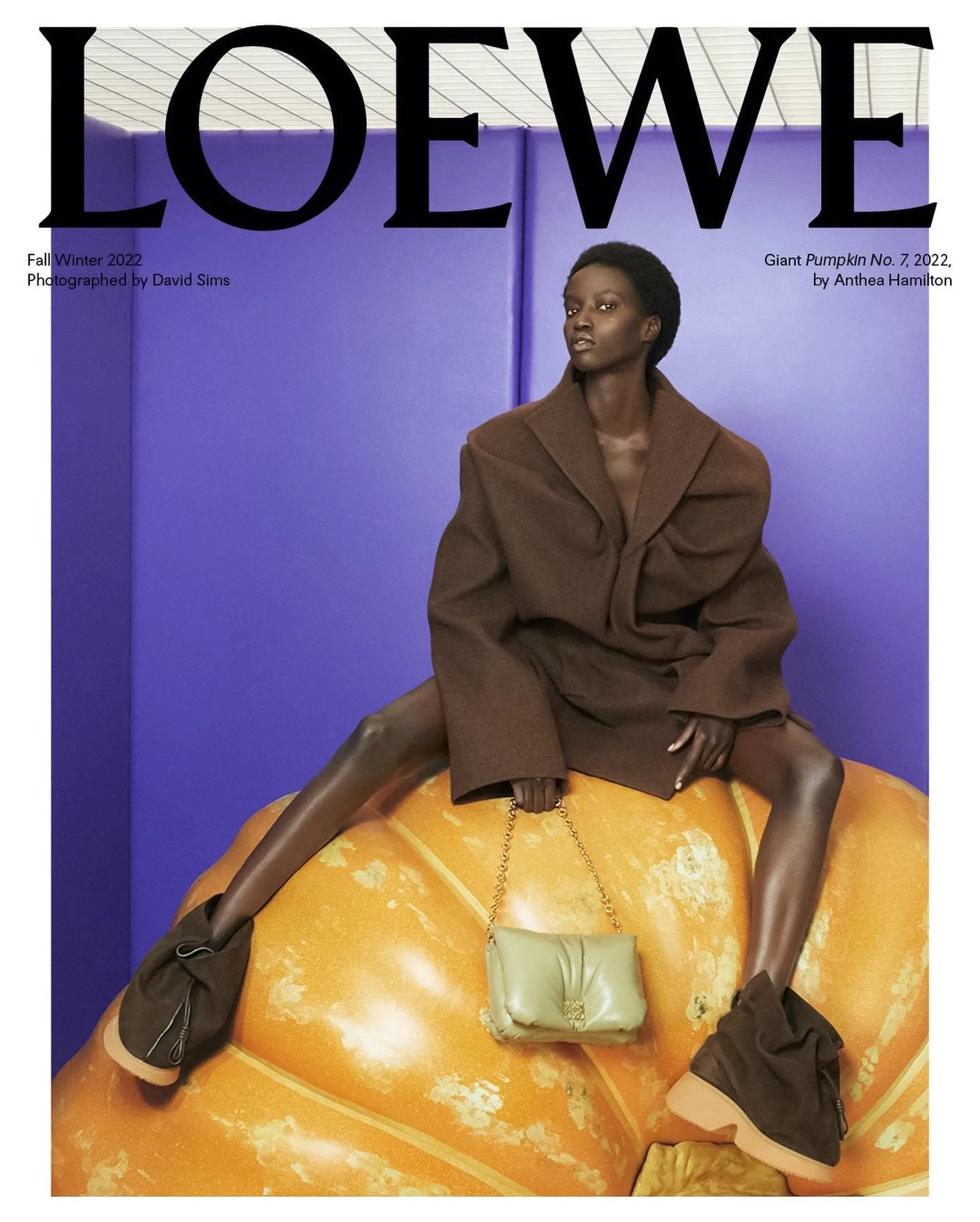 David Sims Eyes LOEWE FW 2022 Campaign Anthea Hamilton Pumpkins